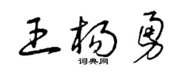 曾庆福王杨勇草书个性签名怎么写