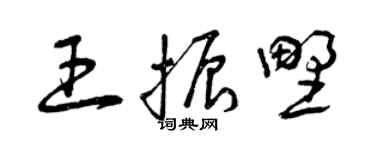 曾庆福王振野草书个性签名怎么写