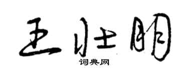 曾庆福王壮朋草书个性签名怎么写