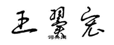 曾庆福王翼宏草书个性签名怎么写
