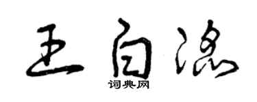 曾庆福王白滔草书个性签名怎么写