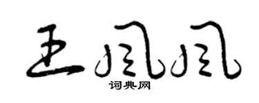 曾庆福王风风草书个性签名怎么写