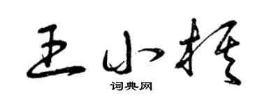 曾庆福王小棋草书个性签名怎么写