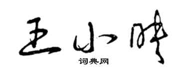 曾庆福王小映草书个性签名怎么写