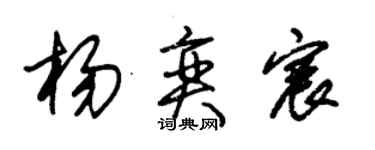 朱锡荣杨奕宸草书个性签名怎么写