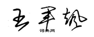 朱锡荣王军飒草书个性签名怎么写