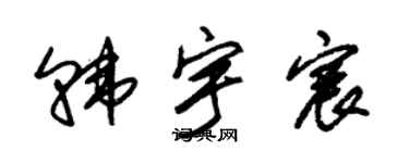 朱锡荣韩宇宸草书个性签名怎么写