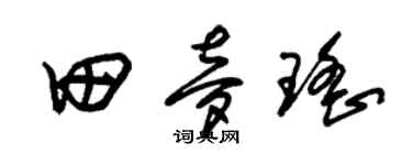 朱锡荣田梦瑶草书个性签名怎么写