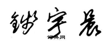 朱锡荣钱宇晨草书个性签名怎么写