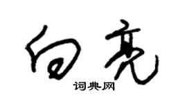 朱锡荣向亮草书个性签名怎么写