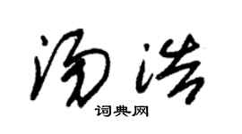 朱锡荣汤浩草书个性签名怎么写